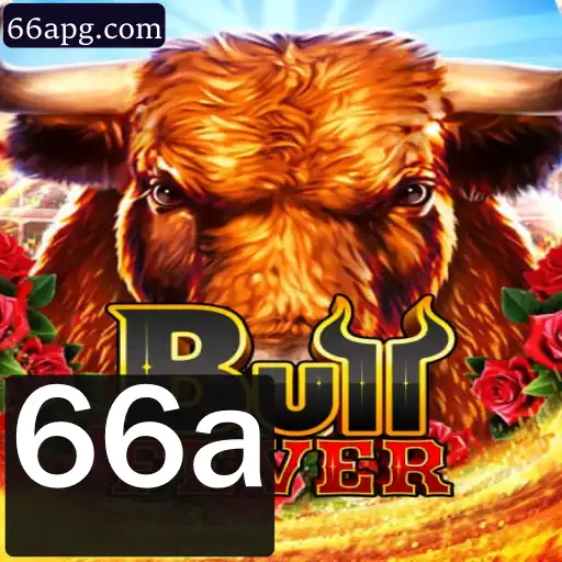 Explorando BullFever: Um Guia Completo para Iniciantes e Veteranos